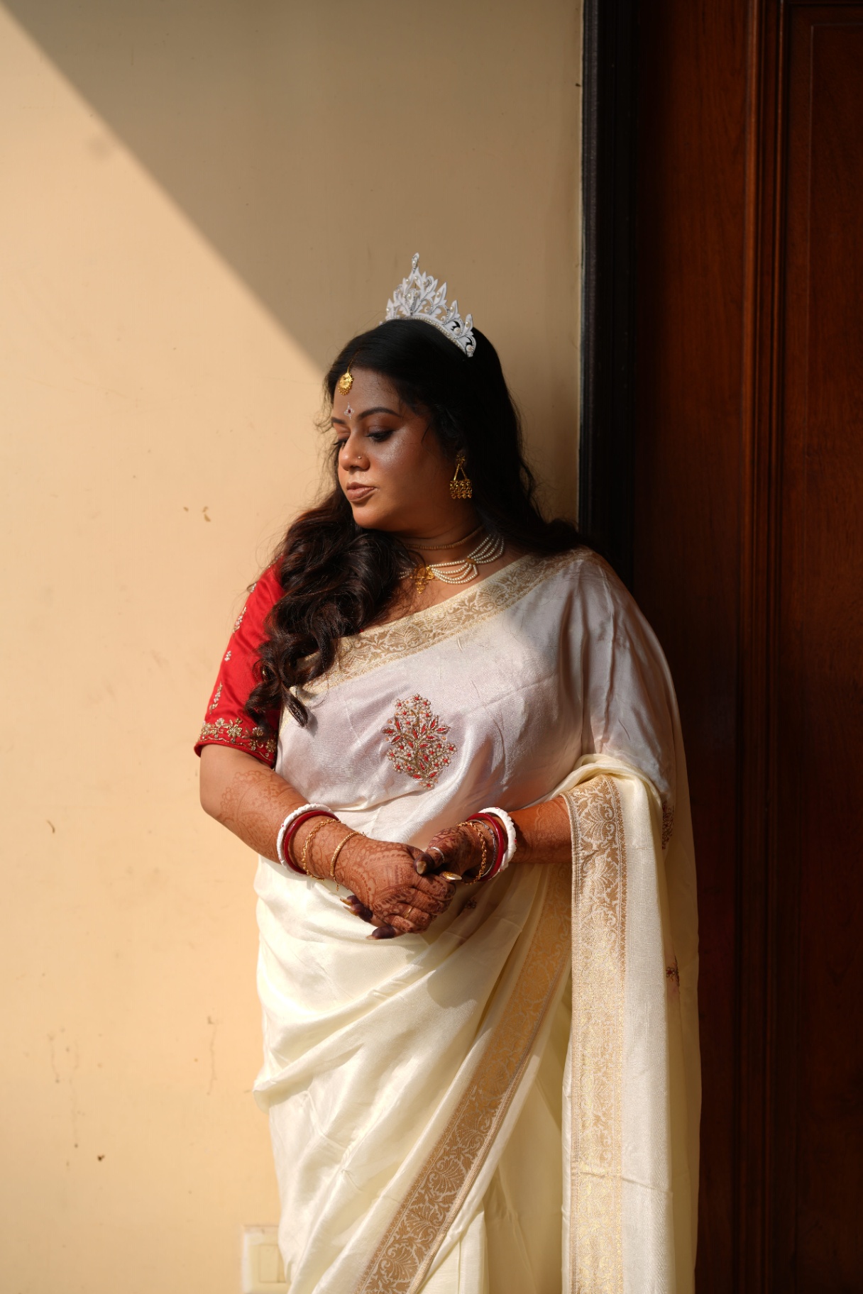 Bengal in frames image 41