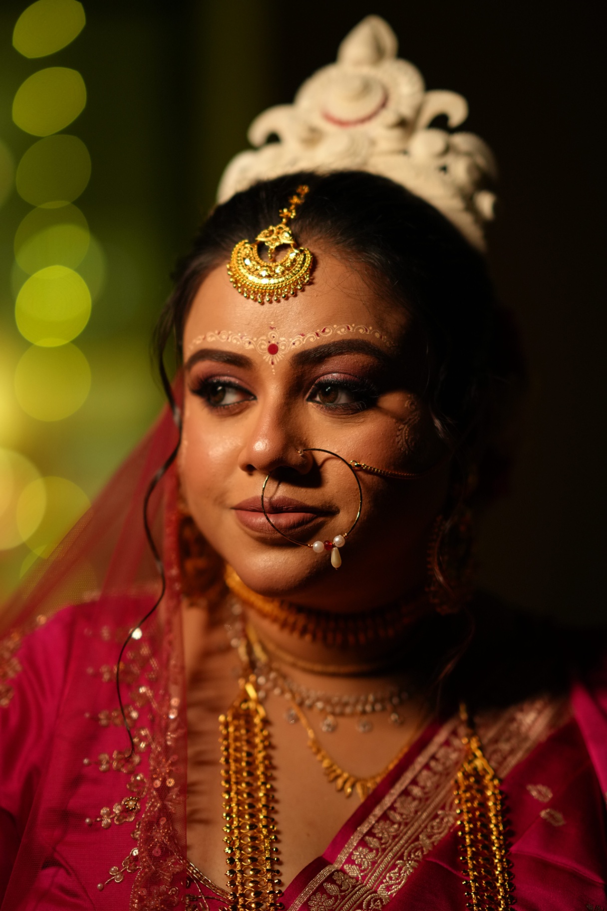 Bengal in frames image 30